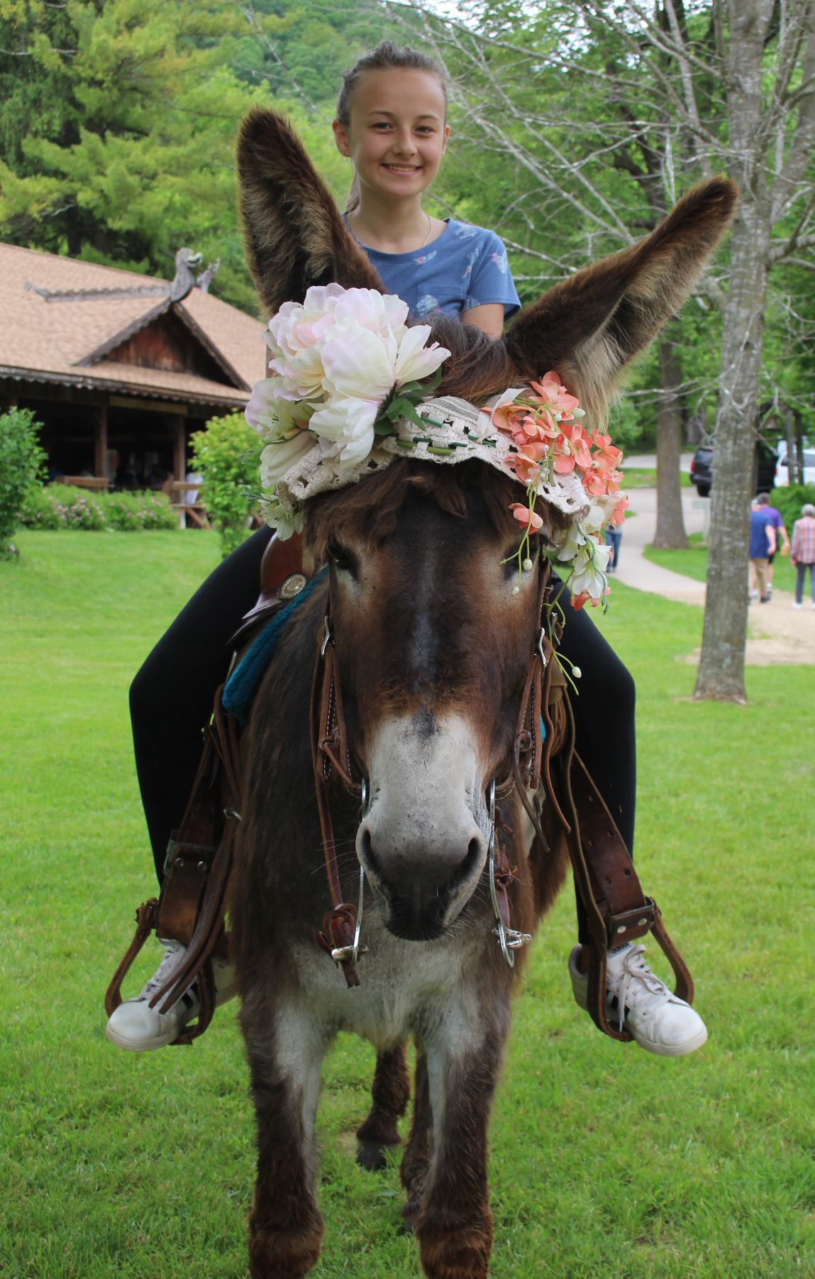 Donkey power